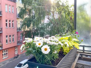 Ruhig gelegene Altbauwohnung mit Balkon in begehrter Kiez-Lage in Prenzlauer Berg, 10405 Berlin, Etagenwohnung