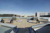 Dachterrasse (je DG-Wohneinheit anteilig nutzbar) - Dachgeschosswohnung in Berlin