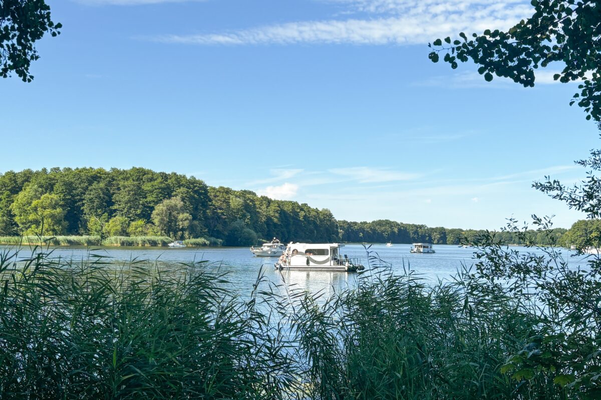 Seenlandschaft