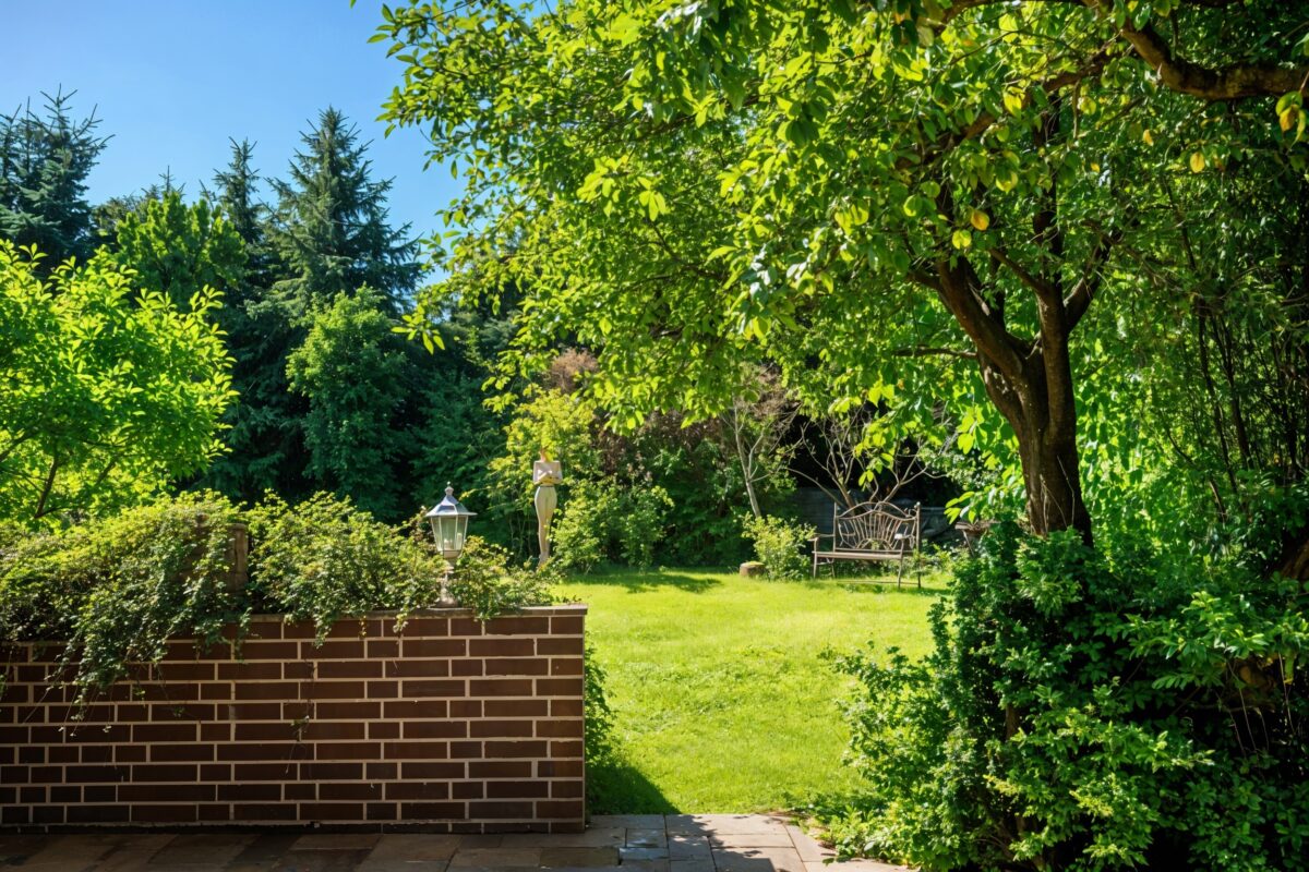 Terrasse EG